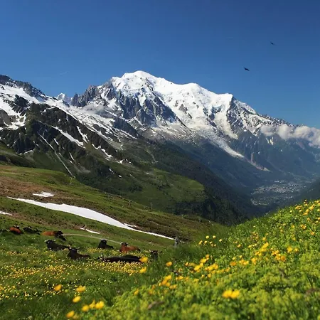 Soleil Des Neiges Daire Combloux